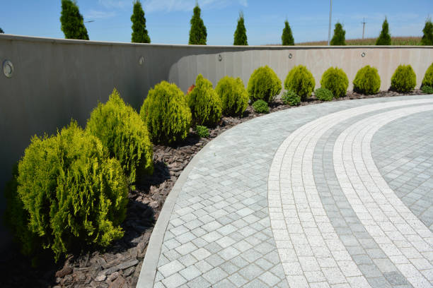 Best Residential Driveway Paver Services  in Conrad, MT